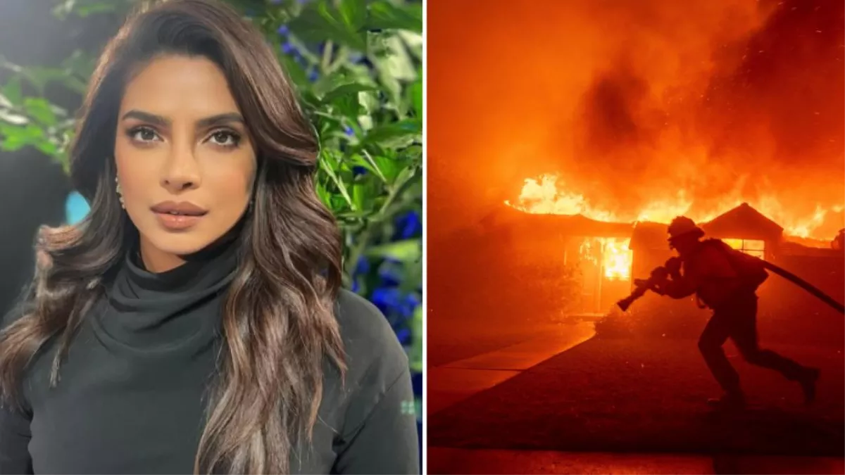 'उम्मीद है हम सब आज रात सुरक्षित रहें', लॉस एंजेलिस के जंगल में भड़की आग, Priyanka Chopra ने शेयर किया वीडियो 'उम्मीद है हम सब आज रात सुरक्षित रहें', लॉस एंजेलिस के जंगल में भड़की आग, Priyanka Chopra ने शेयर किया वीडियो