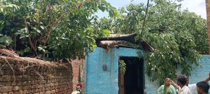 गांव कुर्ता में पकड़ के पेड़ गिरने से छत हुई क्षतिग्रस्त